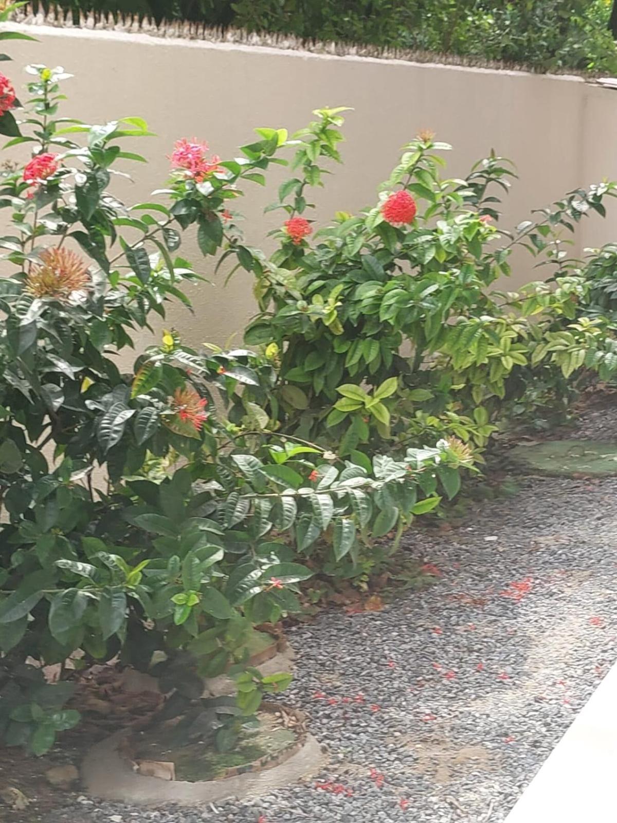 Flat Em Porto De Galinhas A 50 Metros Do Mar Apartment Екстериор снимка